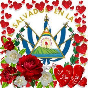 Meet your Posher, Ana